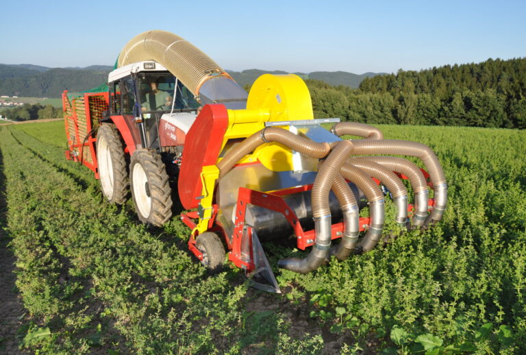 Blatternter KE60 beim Ernten