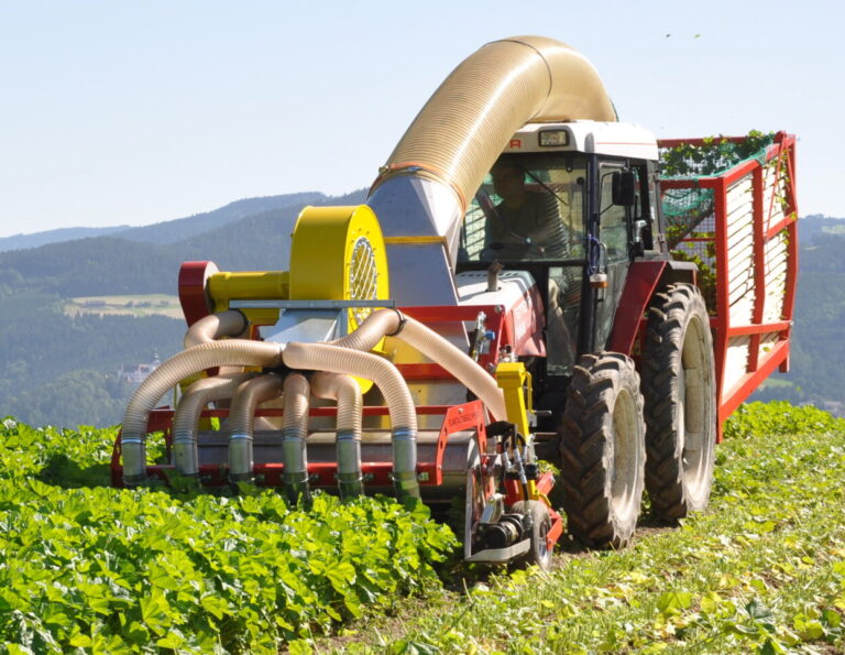 Blatternter KE60 beim Ernten